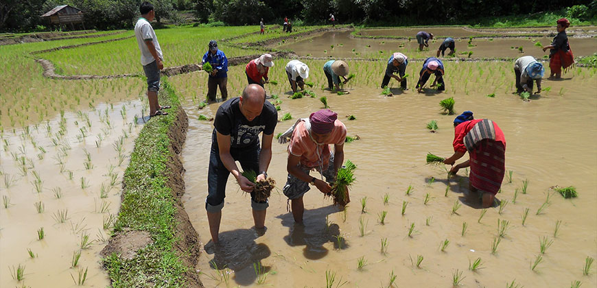 3 DAYS 2 NIGHTS TREK MAE HONG SORN AREA